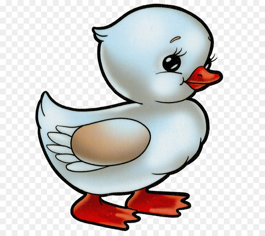 clipart duck duc