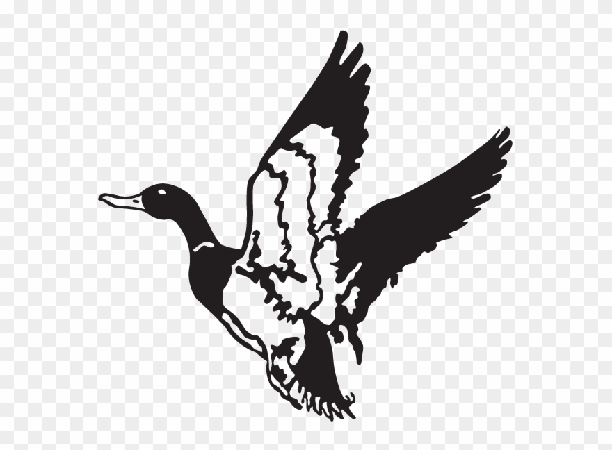 clipart duck duck hunting