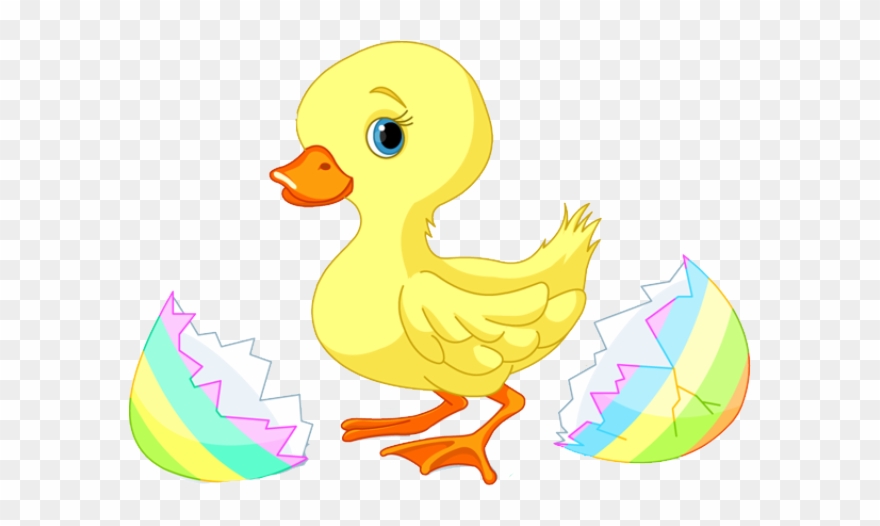 easter clipart duck