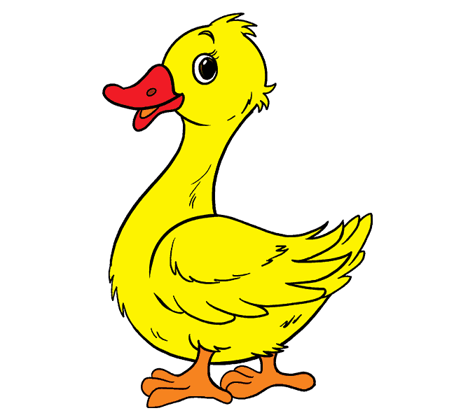 Ducks clipart row. Duck pictures drawing at