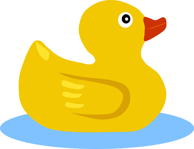 Duck gambar