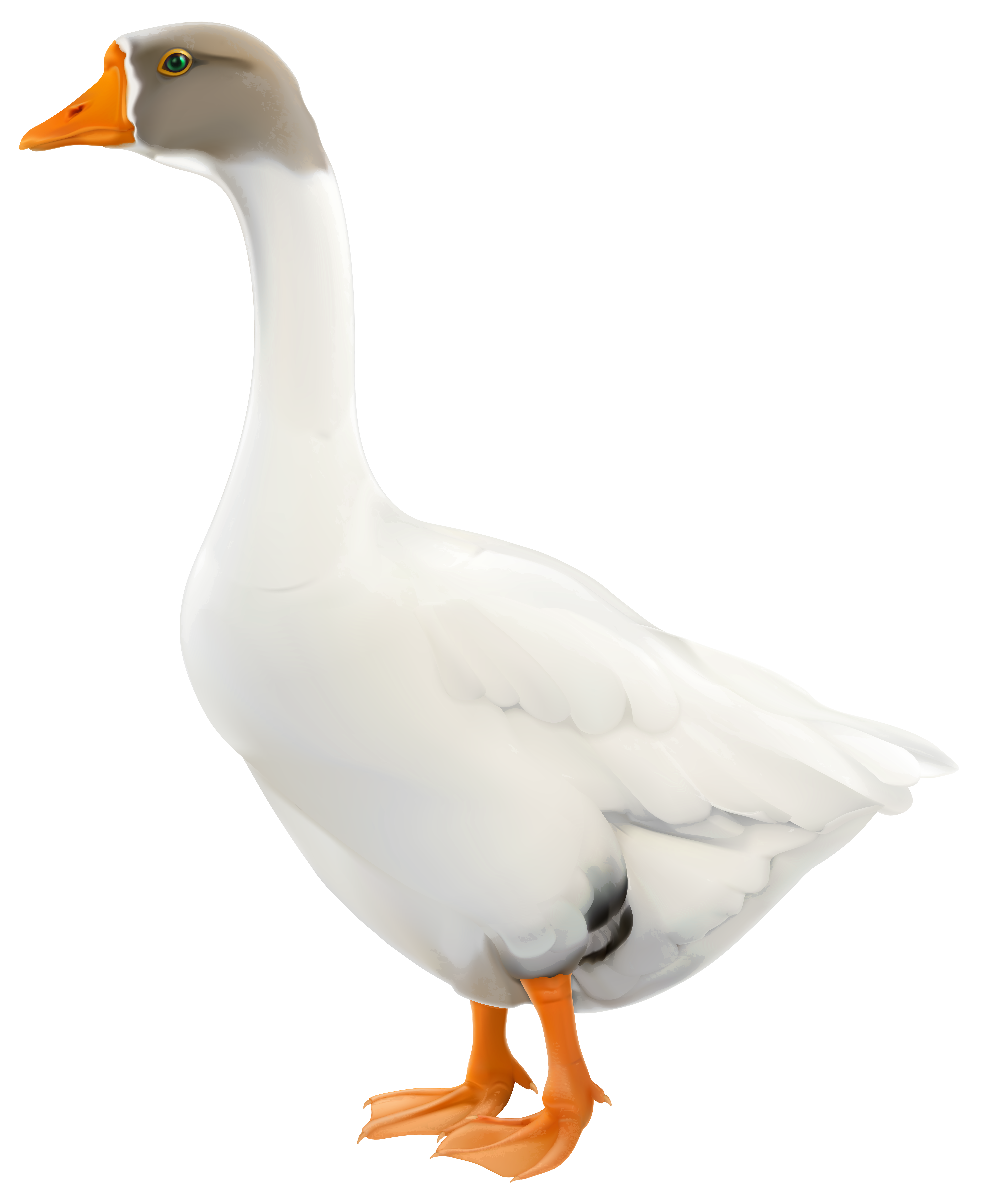 goose clipart space
