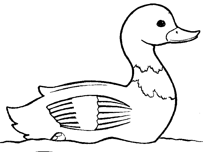 Duckling clipart black and white. Free outline of a