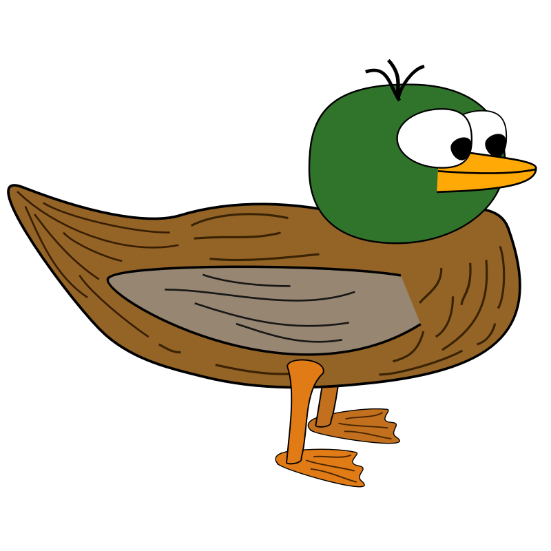 clipart duck malard