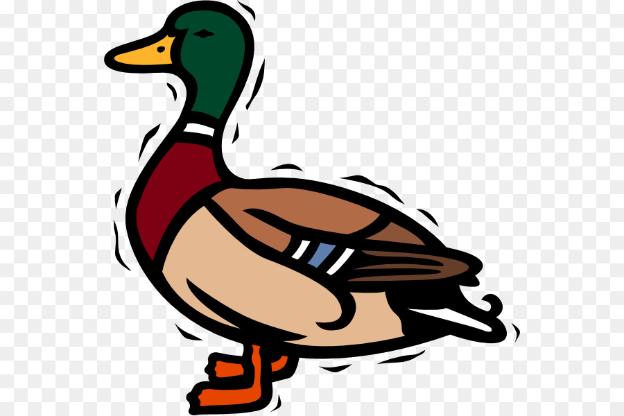 clipart duck mallard duck