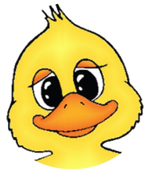 Duckling clipart duck face. Free cliparts download clip