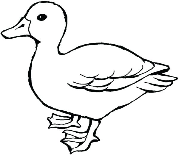 Clipart duck outline, Clipart duck outline Transparent FREE for