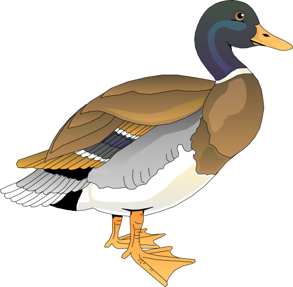 number 2 clipart duck