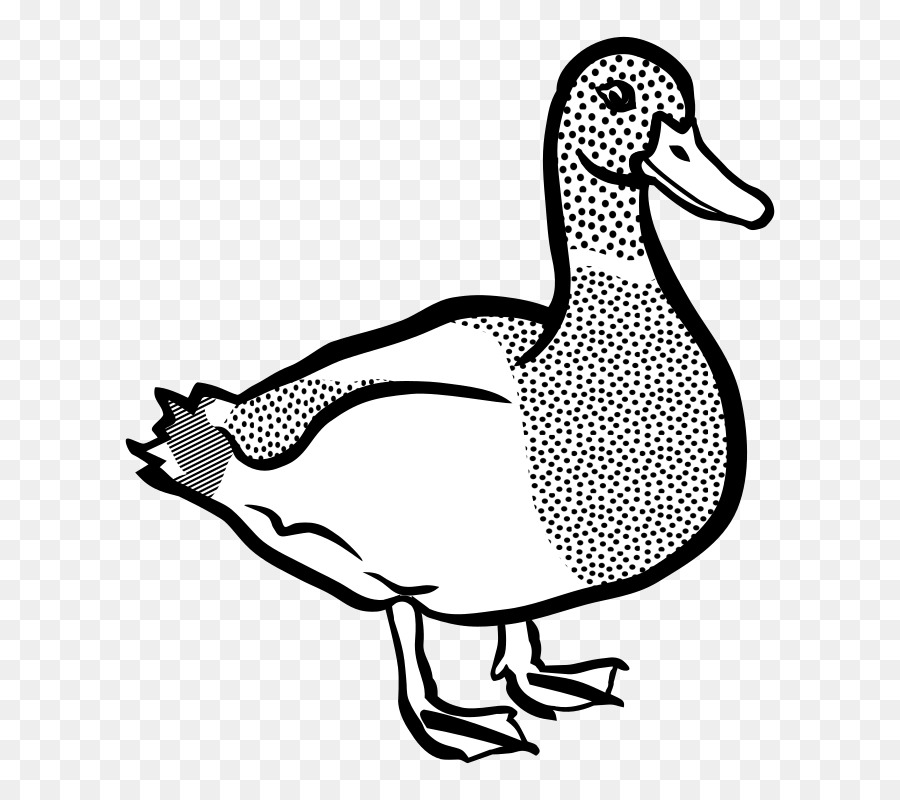 clipart duck pekin duck