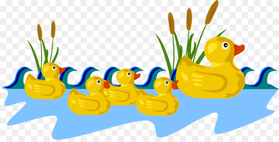 Ducks clipart pond clipart. Cartoon duck illustration bird