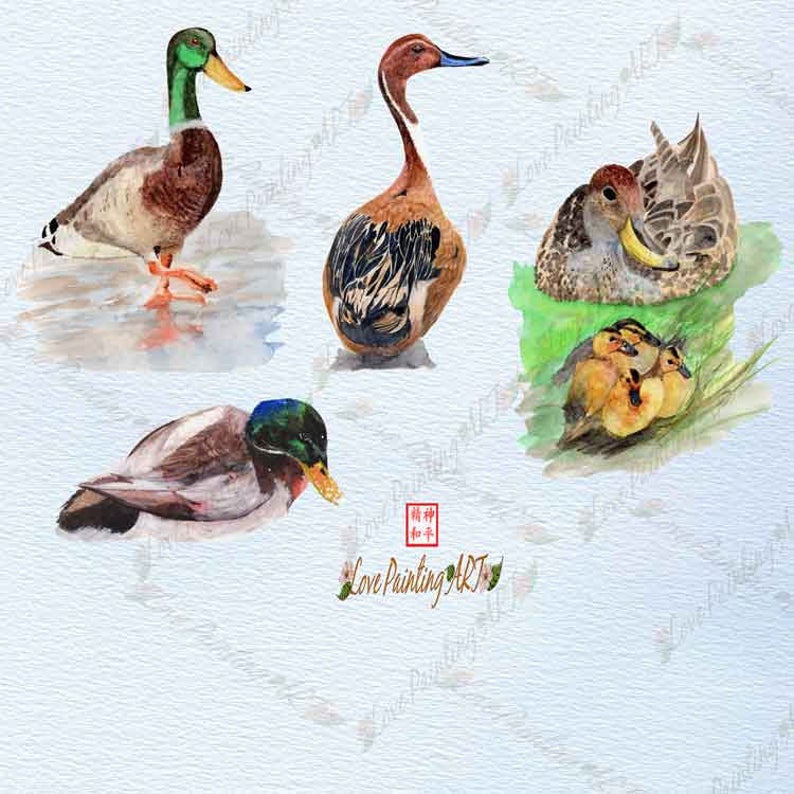 clipart duck print