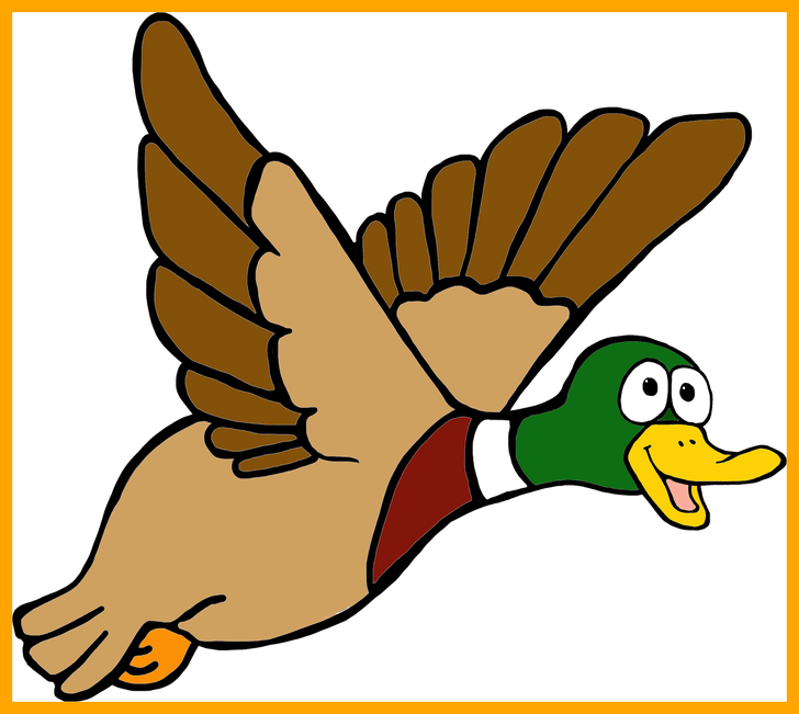 Mallard coloring page free. Clipart duck printable