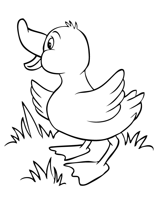 duck clipart sketch