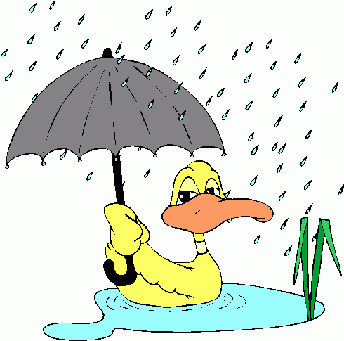 Ducks clipart rain. Walking in the clip