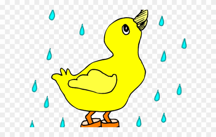 Rain duck in a. Ducks clipart puddle clipart