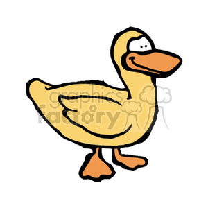 Cartoon royalty free . Clipart duck silly