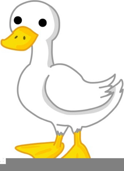clipart duck small duck