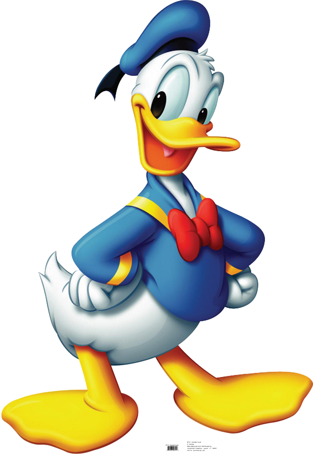 Donald png . Ducks clipart sitting duck