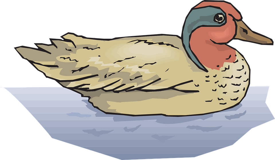 Duck pencil and in. Duckling clipart swimming