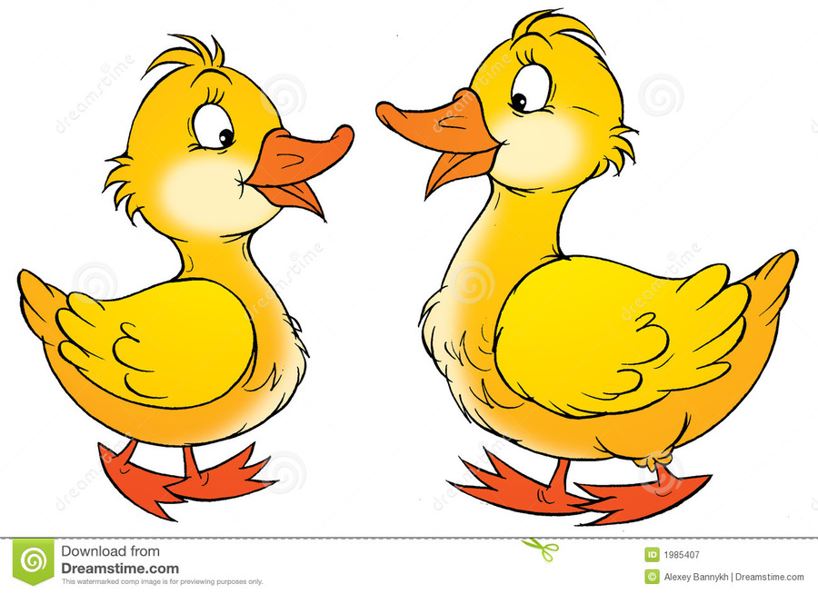 clipart duck two duck
