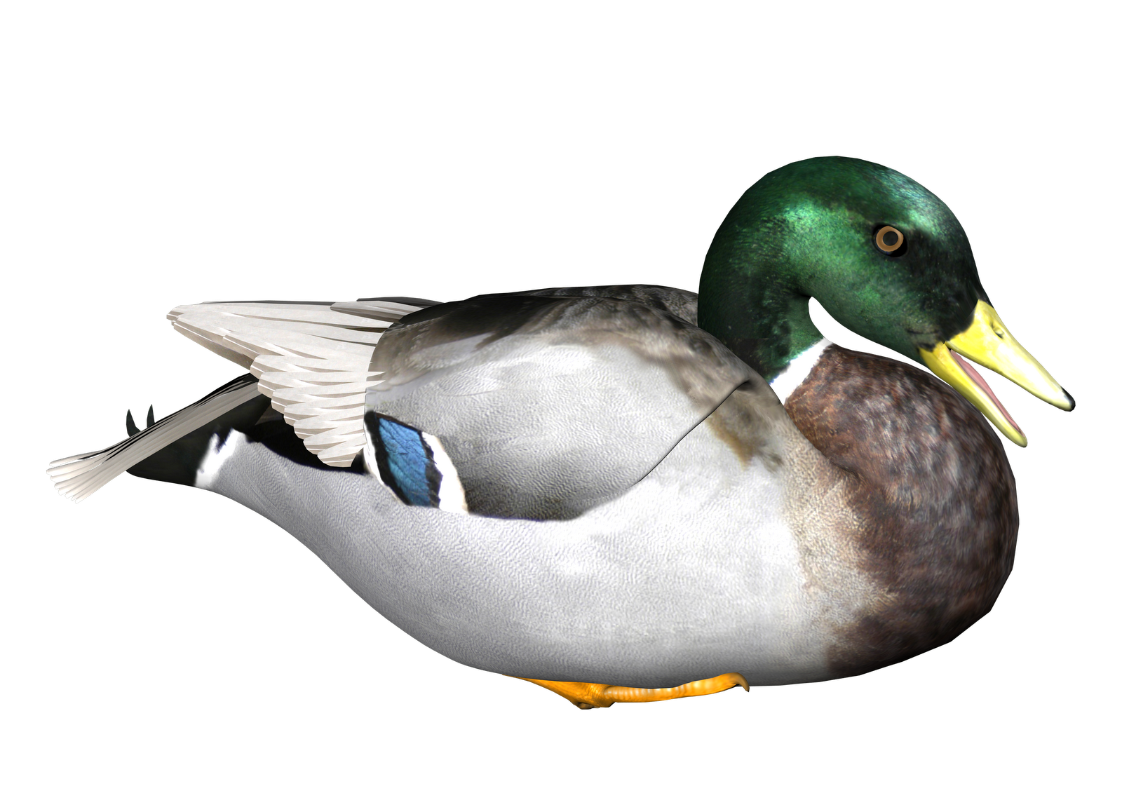Png images transparent free. Clipart duck water