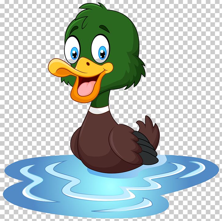 clipart duck waterfowl