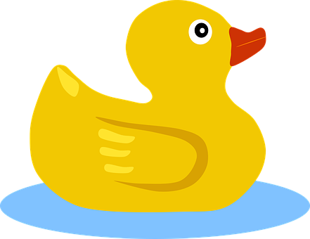Duckling clipart swimming. Duck yellow water ppt