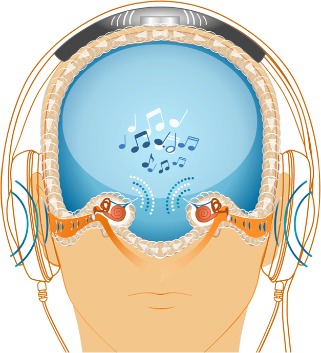 clipart ear auditory learner