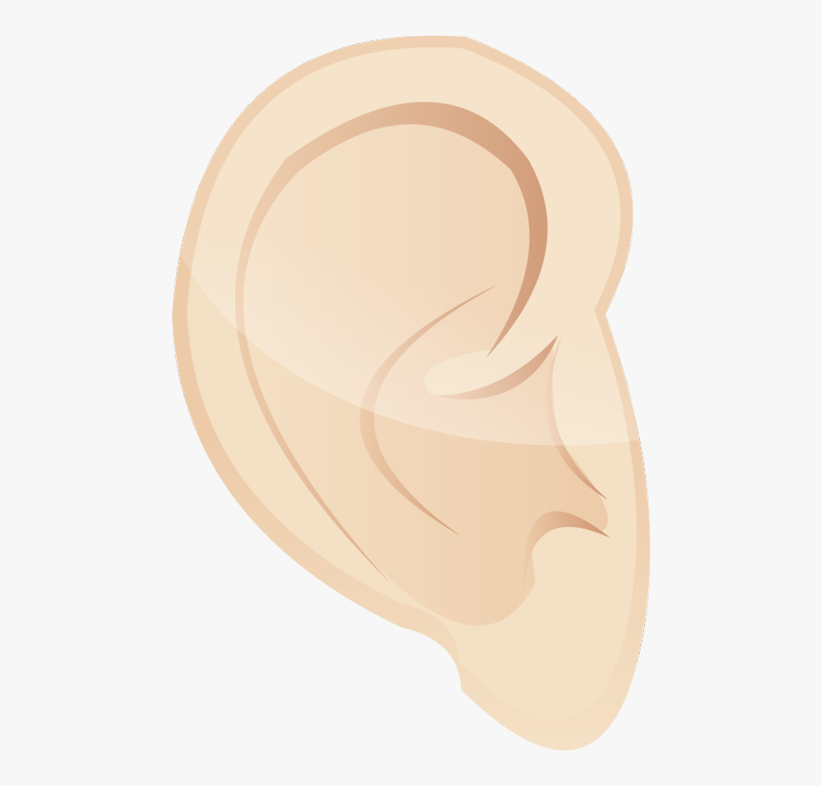 ears clipart auditory learner
