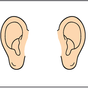 clipart ear big ear
