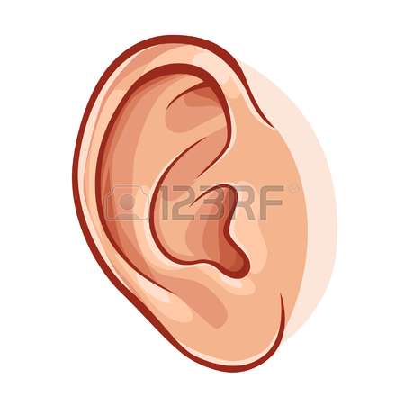 clipart ear cartoon
