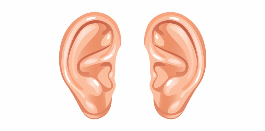 Ears png free images. Clipart ear cartoon