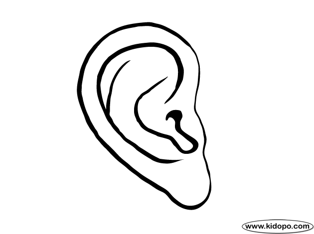 Free ears pages download. Clipart ear coloring