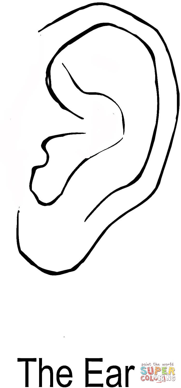 clipart ear colouring page
