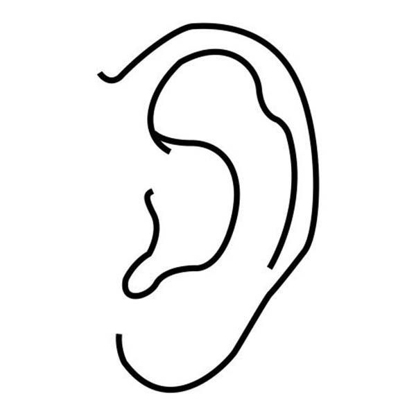 ear clipart coloring