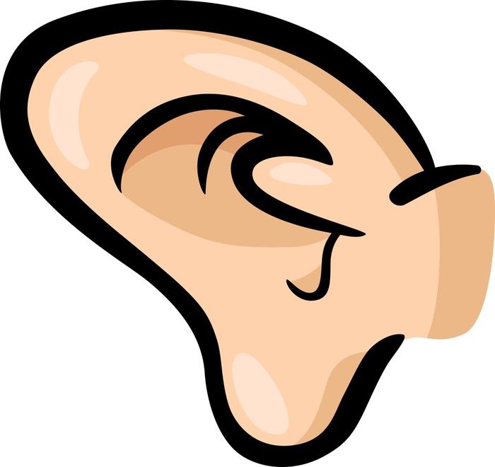 clipart ear different body part