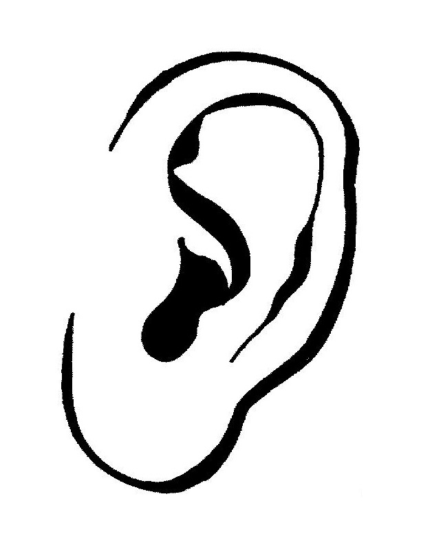 ear clipart colouring page