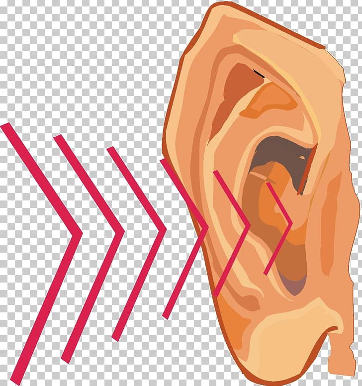 Clipart ear ear sound. Vibration hearing png art