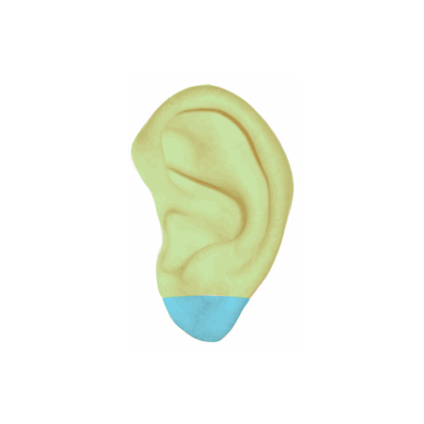 Clipart ear earlobe. Lobes outlander anatomy pinnaklseditedcopy