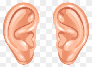 hearing clipart human ear