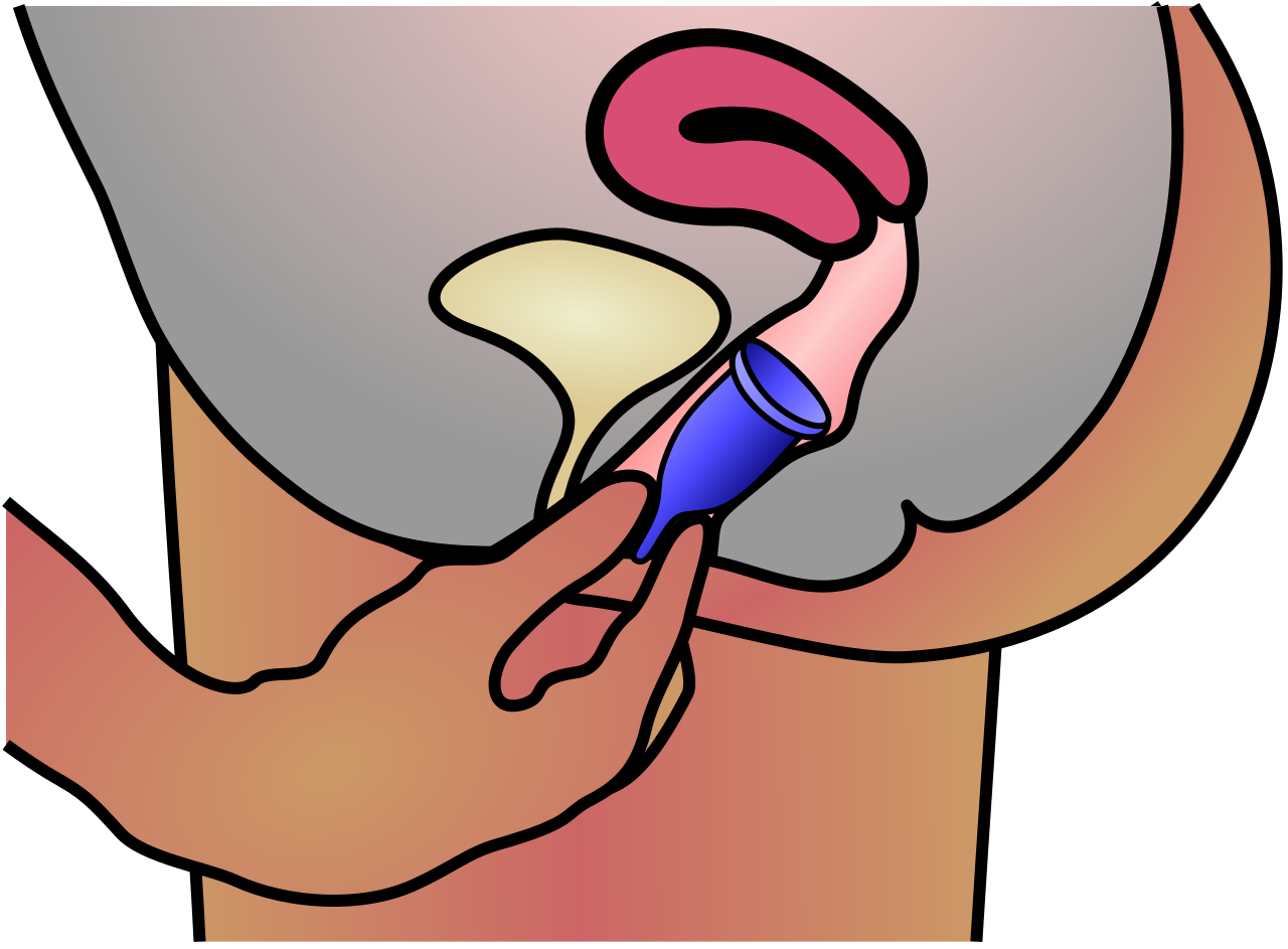 File menstrual cup insertion. Clipart ear hand over