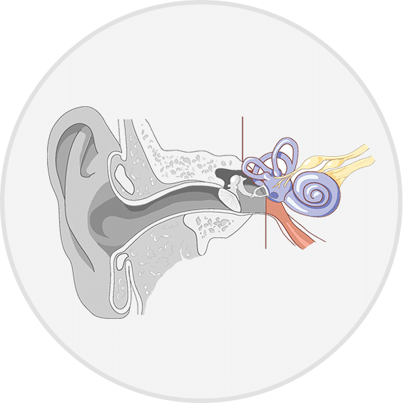 ear clipart hearing loss