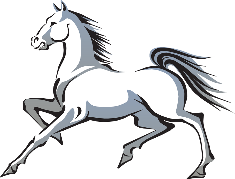 horse clipart morgan horse