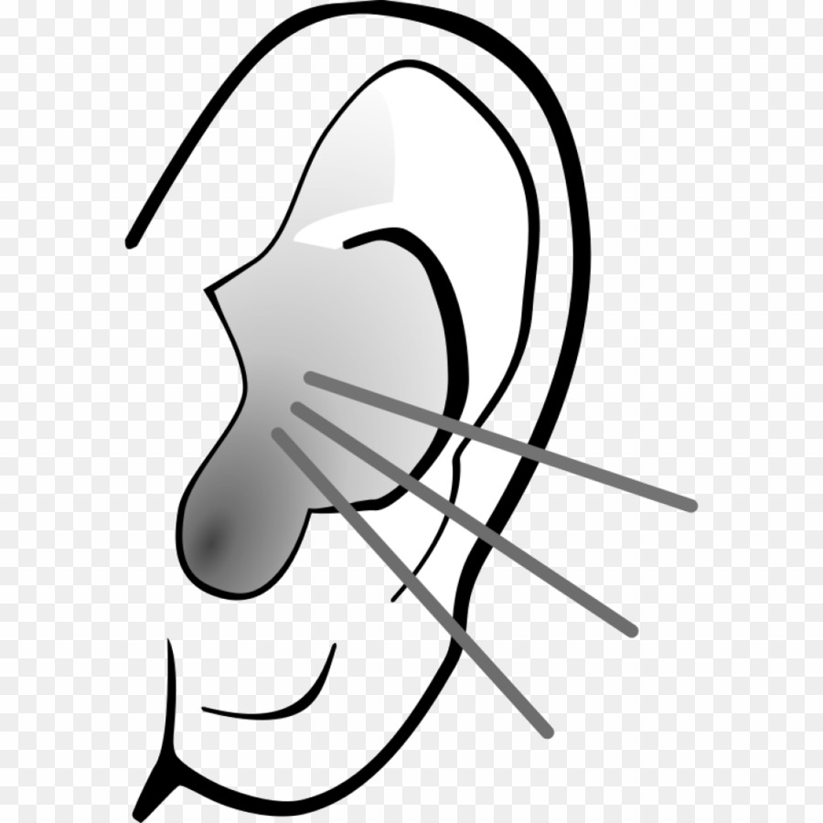 clipart ear line