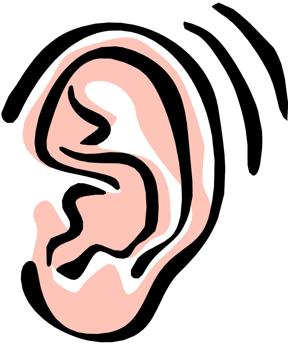 Images of for kids. Clipart ear outer ear