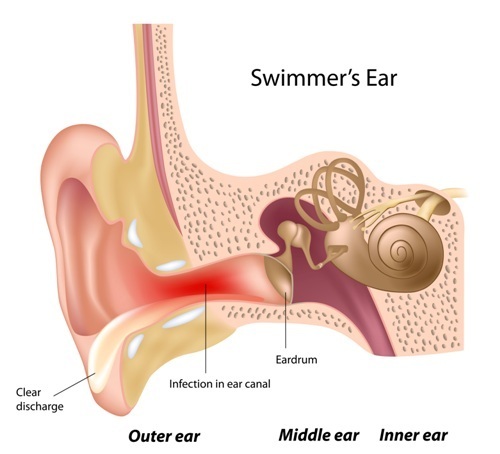 How to clean and. Clipart ear outer ear