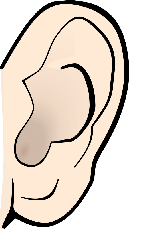  collection of sense. Clipart ear part head