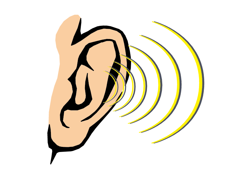 hearing clipart sense organ