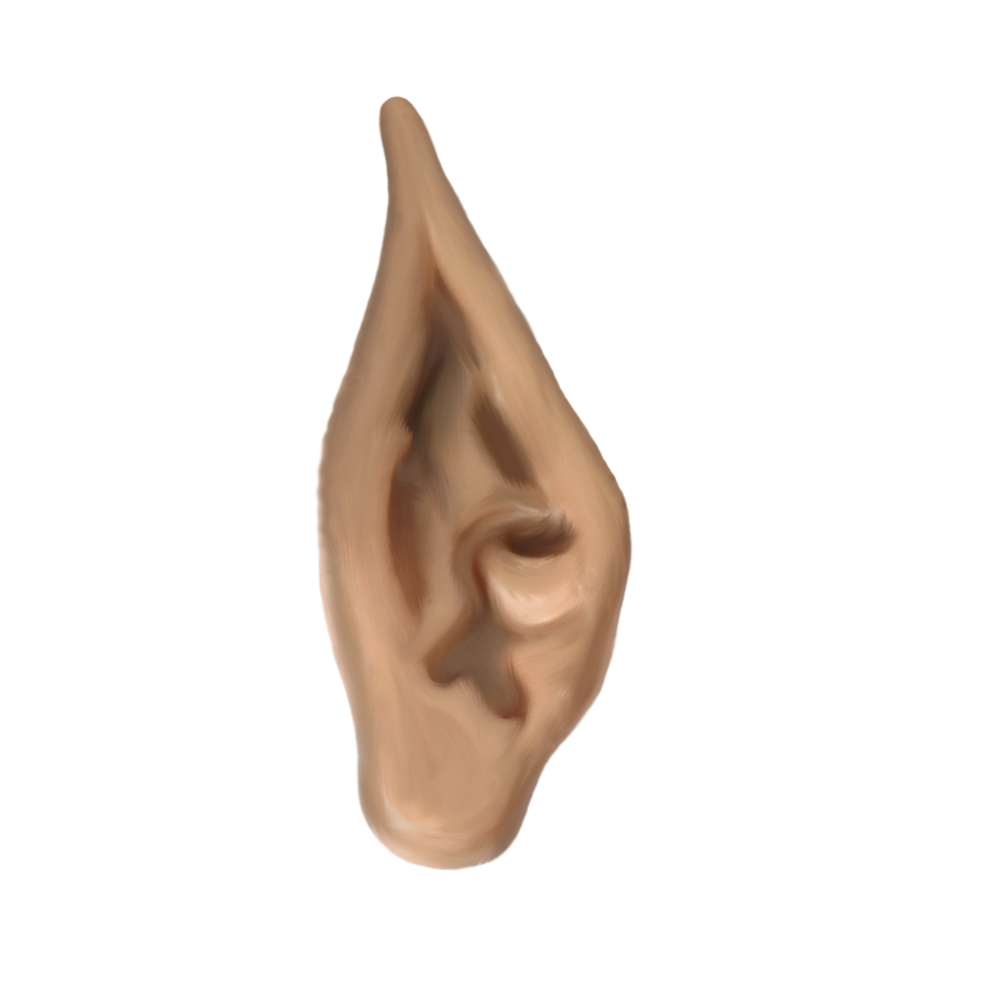 clipart ear transparent background