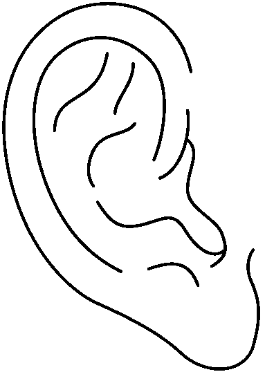Clipart ear two ear. Ears clip art clipartandscrap